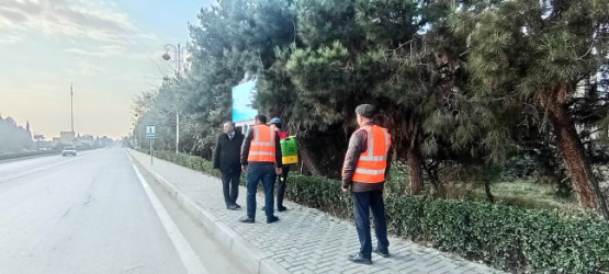 Rayon ərazisində yaşıllıqların ziyanvericilərdən və xəstəliklərdən mühafizəsinin təşkili məqsədilə təbdir keçirilmişdir