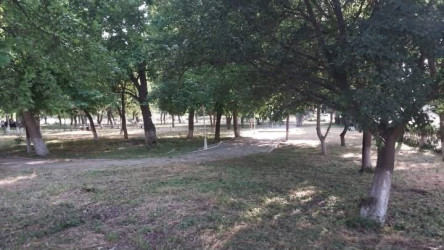 Bərdə rayonundakı Allah-Allah türbəsi ərazisində abadlıq və təmizlik işləri həyata keçirilmişdir.