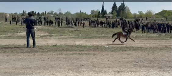 Bərdədə at yarışı təşkil olunmuşdur
