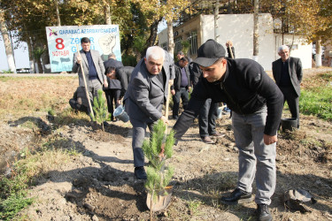 Bərdə rayonunda 8 Noyabr- Zəfər Günü münasibətilə ağacəkmə aksiyası keçirilib