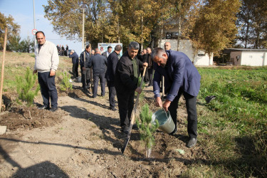 Bərdə rayonunda 8 Noyabr- Zəfər Günü münasibətilə ağacəkmə aksiyası keçirilib
