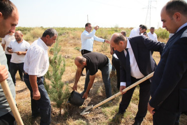 Bərdədə 27 Sentyabr – Anım Gününün altıncı ildönümü ilə əlaqədar ümumrayon tədbiri keçirilib