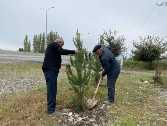 "Yaşıl dünya naminə həmrəylik ili" çərçivəsində Bərdə rayonunda ağacəkmə aksiyası keçirilib