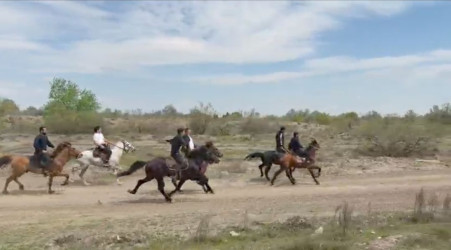 Bərdədə at yarışı təşkil olunmuşdur