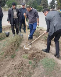 Bərdədə "Heydər Əliyev İli" münasibətilə silsilə ağacəkmə kampaniyaları davam edir