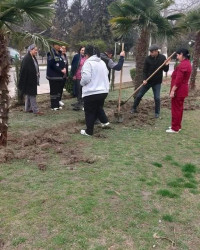 Bərdədə "Heydər Əliyev İli" münasibətilə silsilə ağacəkmə kampaniyaları davam edir