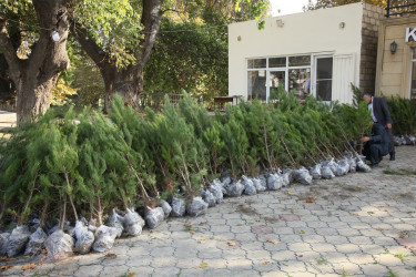 Bərdə rayonunda 8 Noyabr- Zəfər Günü münasibətilə ağacəkmə aksiyası keçirilib