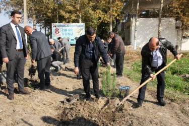 Bərdə rayonunda 8 Noyabr- Zəfər Günü münasibətilə ağacəkmə aksiyası keçirilib