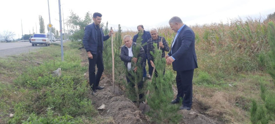 "Yaşıl dünya naminə həmrəylik ili" çərçivəsində Bərdə rayonunda ağacəkmə aksiyası keçirilib