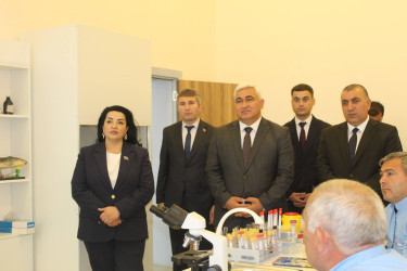Bərdədə keçmiş məcburi köçkünlərə peşə hazırlığı üzrə sertifikatlar təqdim edilib