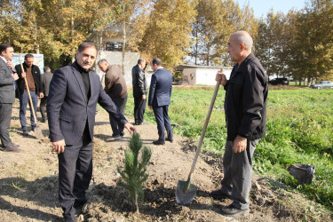 Bərdə rayonunda 8 Noyabr- Zəfər Günü münasibətilə ağacəkmə aksiyası keçirilib
