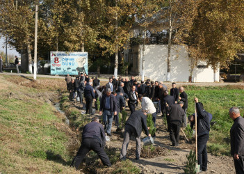 Bərdə rayonunda 8 Noyabr- Zəfər Günü münasibətilə ağacəkmə aksiyası keçirilib
