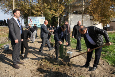 Bərdə rayonunda 8 Noyabr- Zəfər Günü münasibətilə ağacəkmə aksiyası keçirilib