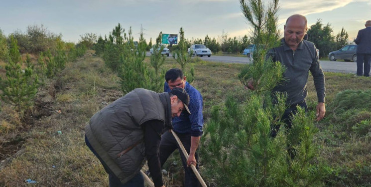 "Yaşıl dünya naminə həmrəylik ili" çərçivəsində Bərdə rayonunda ağacəkmə aksiyası keçirilib