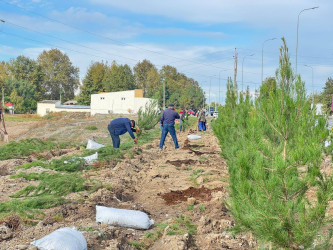 "Yaşıl dünya naminə həmrəylik ili" çərçivəsində Bərdə rayonunda ağacəkmə aksiyası keçirilib