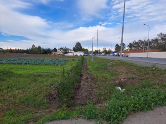 "Yaşıl dünya naminə həmrəylik ili" çərçivəsində Bərdə rayonunda ağacəkmə aksiyası keçirilib