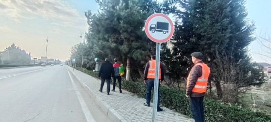 Rayon ərazisində yaşıllıqların ziyanvericilərdən və xəstəliklərdən mühafizəsinin təşkili məqsədilə təbdir keçirilmişdir